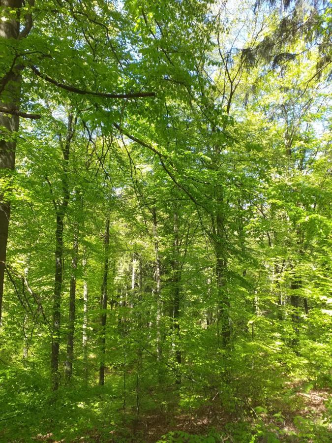 Eifelverweiler Weiler  Екстер'єр фото