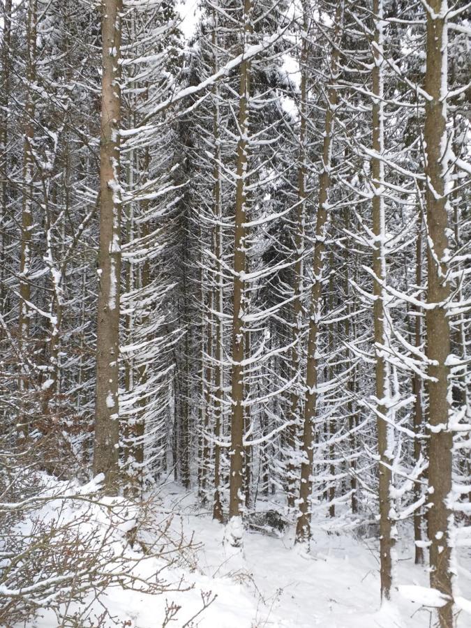 Eifelverweiler Weiler  Екстер'єр фото
