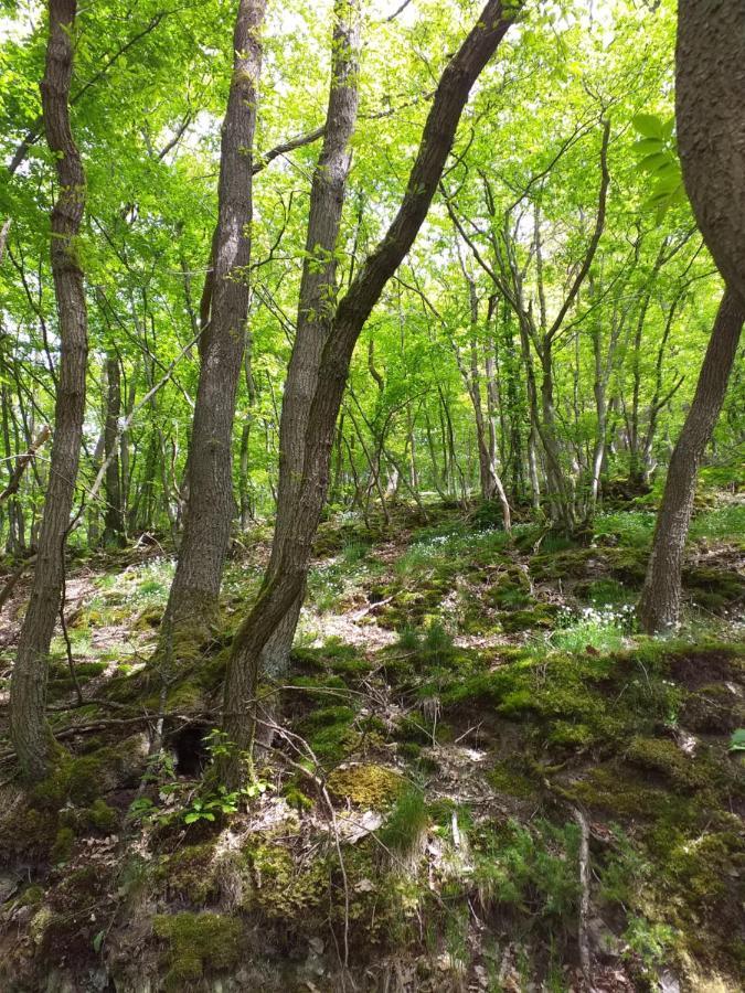 Eifelverweiler Weiler  Екстер'єр фото